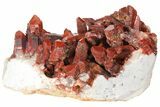 Phenomenal, Natural, Red Quartz Crystal Cluster - Morocco #131360-2